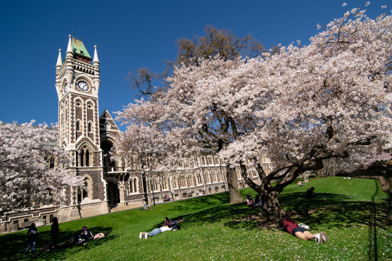 University of Otago